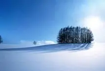 تفال به حافظ یکشنبه ۲۸ بهمن ۱۴۰۳؛ درخت دوستی بنشان که کام دل به بار آرد....