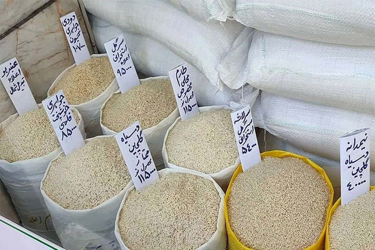 مردم نگران گرانی برنج؛ چرا نظارتی بر بازار نیست؟