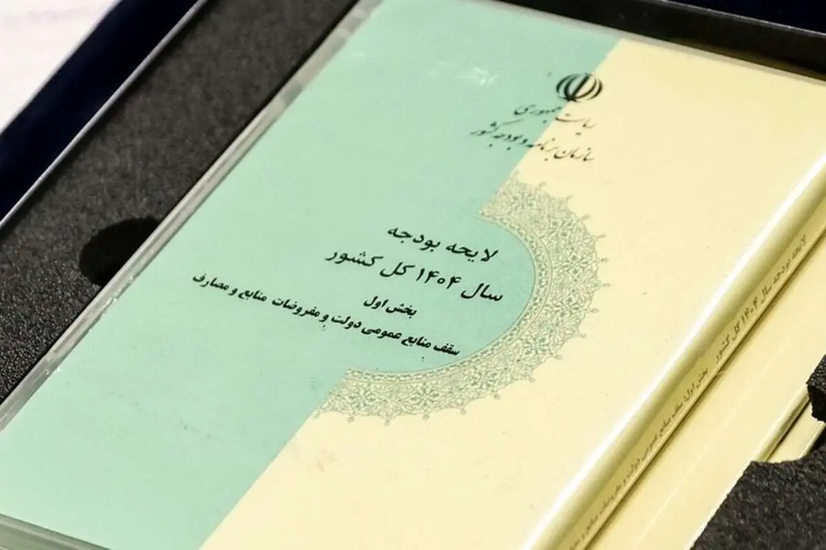 افزایش ۵۳ درصدی درآمدهای مالیاتی در لایحه بودجه ۱۴۰۴