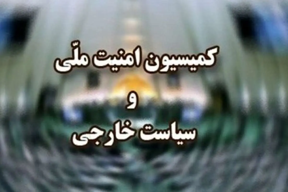 سخنگوی کمیسیون امنیت ملی: شناسایی و برخورد با عوامل مرتبط با بیگانه