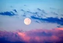تفال به حافظ سه شنبه ۳۰ بهمن ۱۴۰۳؛ نکته‌ای دلکش بگویم خال آن مه رو ببین.....
