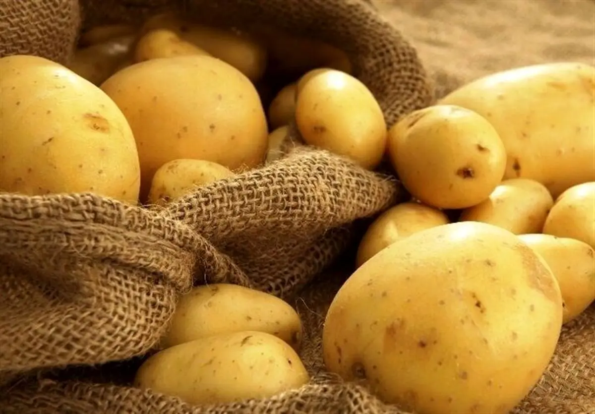 (عکس) خرید قسطی به سیب زمینی و پیاز رسید