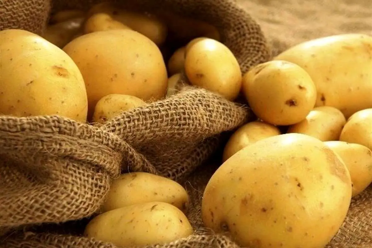 (عکس) خرید قسطی به سیب زمینی و پیاز رسید
