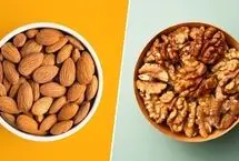 گردو یا بادام، کدامیک برای حافظه بهترند؟