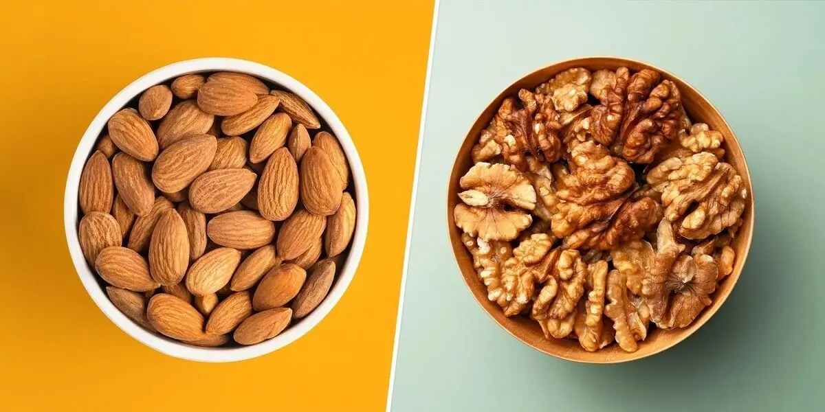 گردو یا بادام، کدامیک برای حافظه بهترند؟