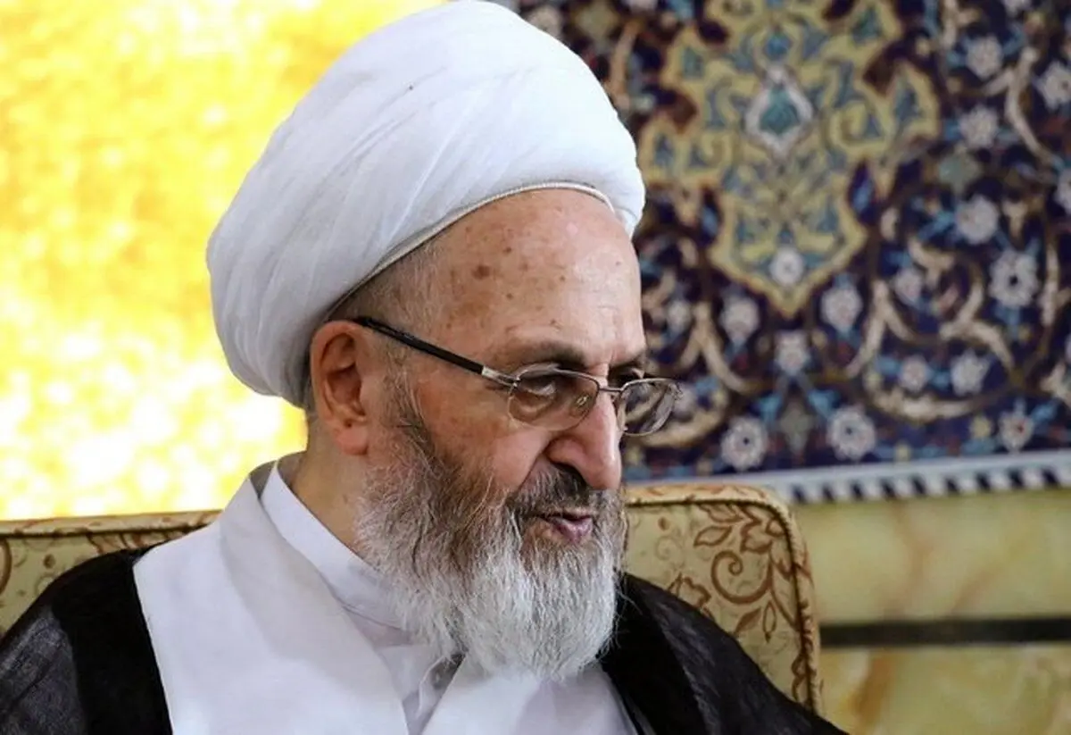 (ویدئو) آیت الله سبحانی: وقتی دولت همه‌کاره شود مردم بیکار می‌شوند