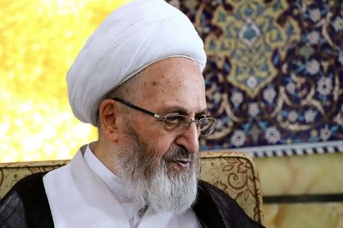 (ویدئو) آیت الله سبحانی: وقتی دولت همهکاره شود مردم بیکار میشوند