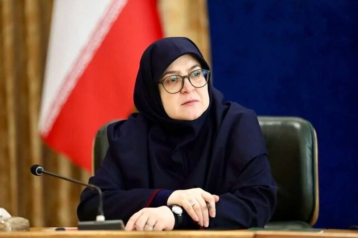 سخنگوی دولت: ایجاد روحیه منفی کمکی به حل مشکلات نمی‌کند