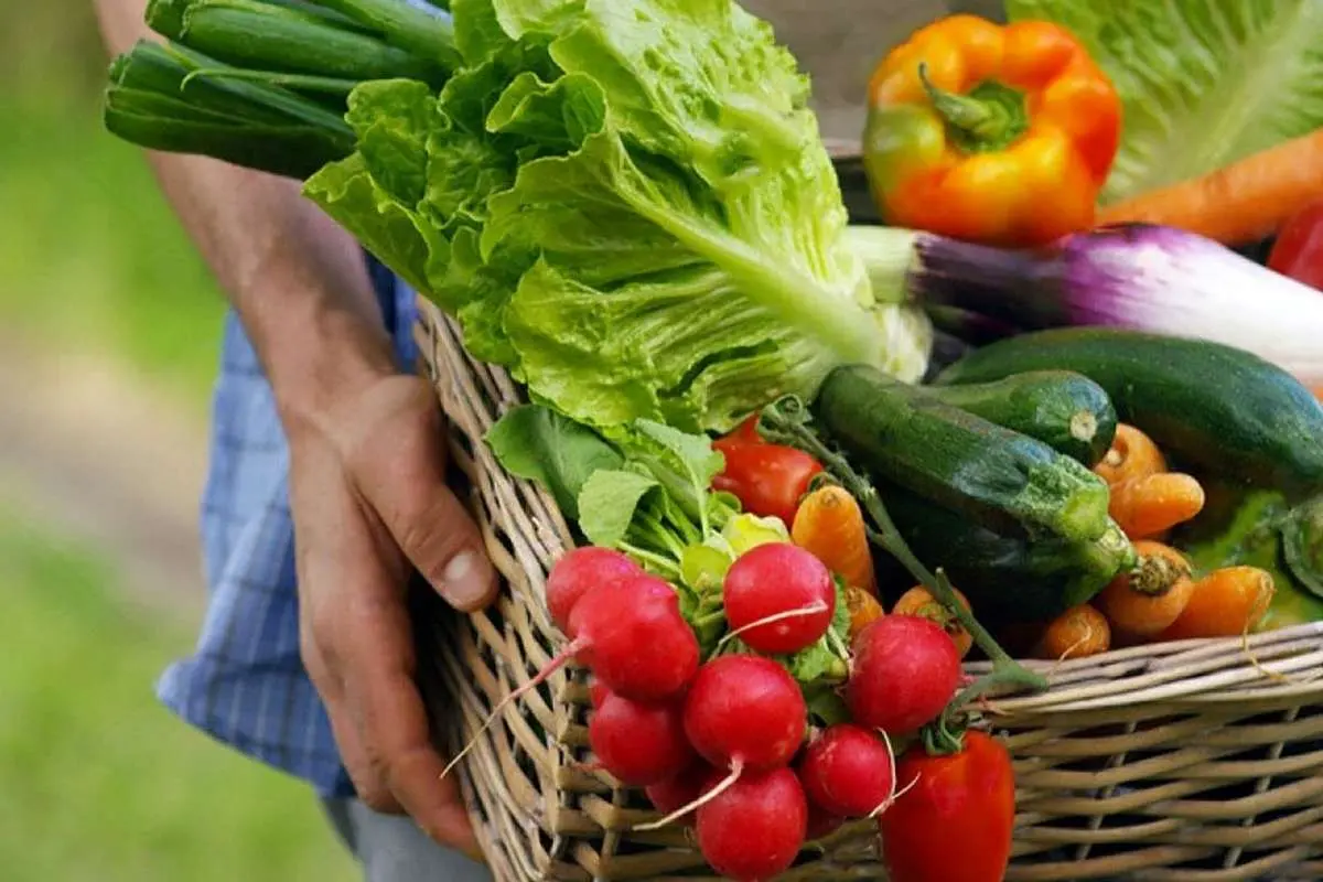 این رژیم غذایی عمرتان را زیاد میکند