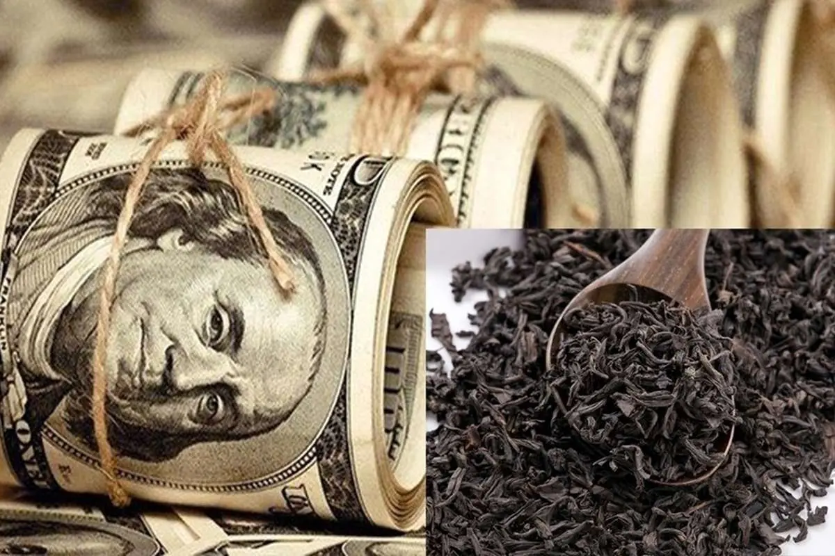صدور احکام ۴۴ متهم پرونده چای دبش