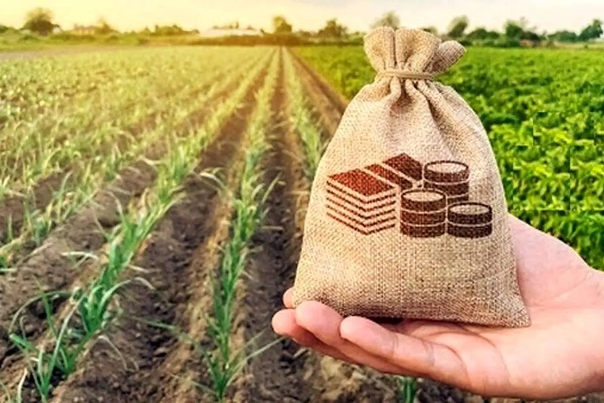 روستائیان تا ۵۰۰ میلیون تومان وام میگیرند