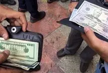 جدیدترین قیمت دلار امروز ۸ اسفند ۱۴۰۳؛ دلار گران شد