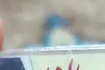 قیمت سکه پارسیان امروز ۴ اسفند ۱۴۰۳؛ گران‌ترین سکه چند؟