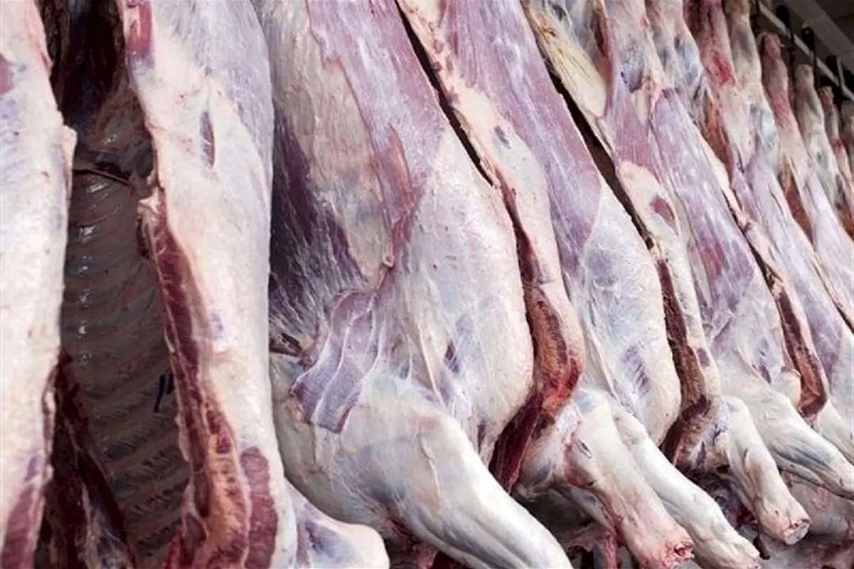 قیمت گوشت قرمز امروز ۵ اسفند۱۴۰۳؛ ماهیچه گوسفندی چند؟