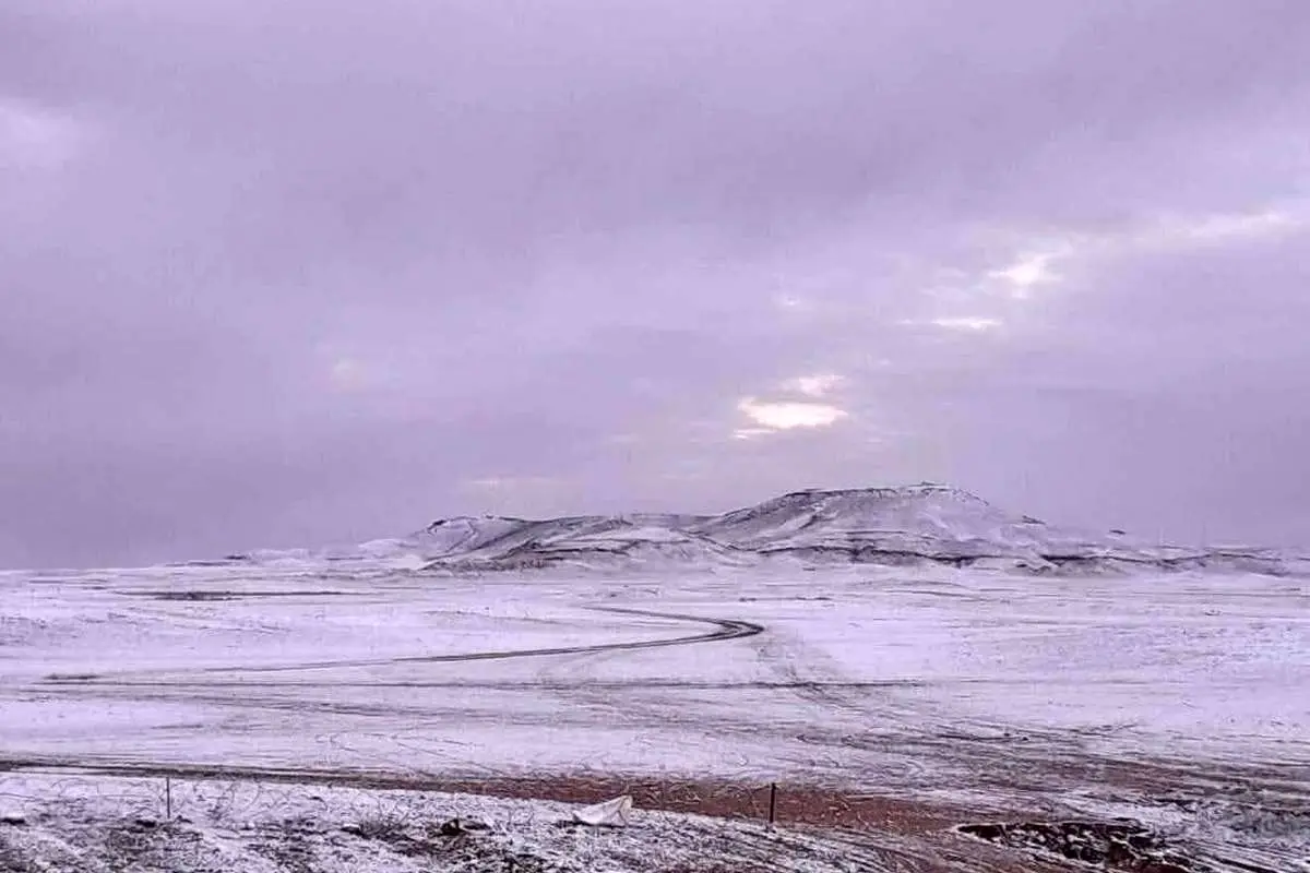 (ویدئو) بارش نادر برف در کرکوک و الانبار عراق