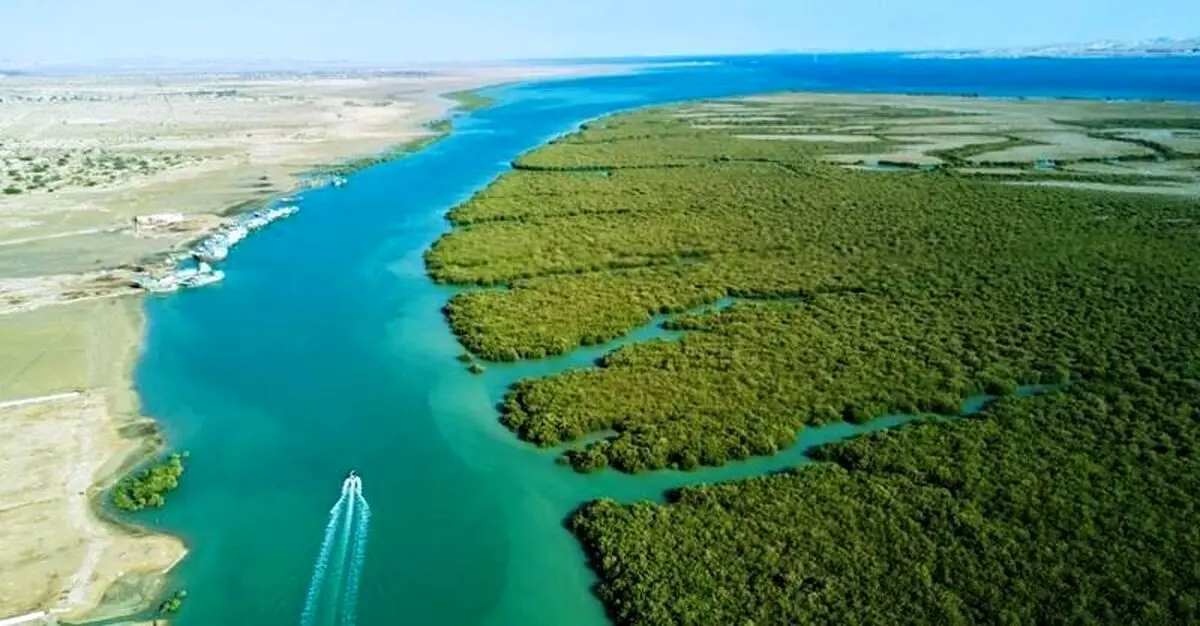 آب از مرز گذشت؛ هامون به حیات نزدیک‌تر شد
