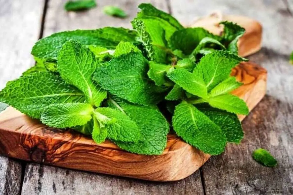 ۴ خوراکی مفید و طبیعی برای رفع حالت تهوع