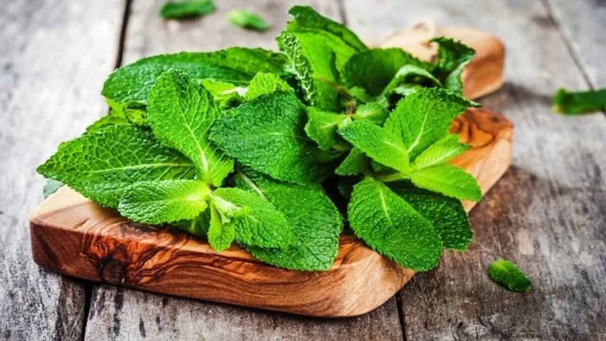 ۴ خوراکی مفید و طبیعی برای رفع حالت تهوع