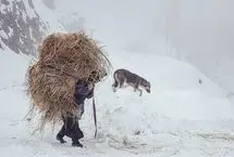 (تصاویر) طبیعت برفی روستاهای بخش انزل ارومیه