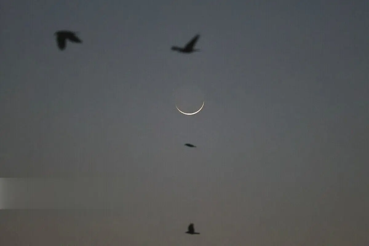 (تصاویر) استهلال ماه مبارک رمضان در مشهد