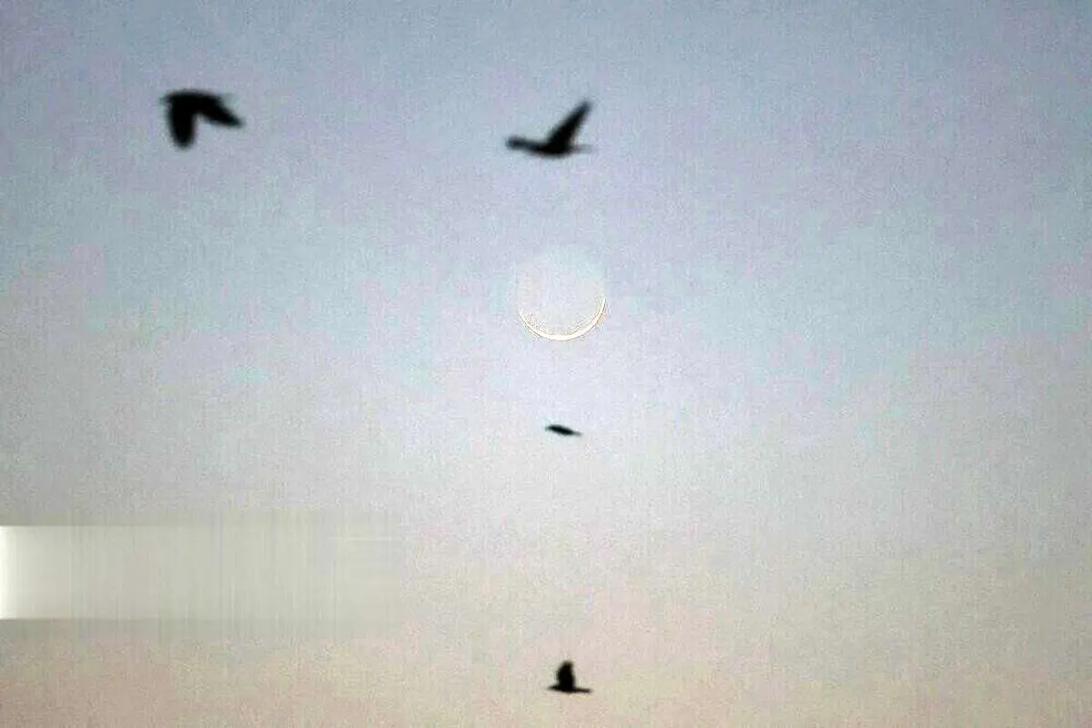 (تصاویر) استهلال ماه مبارک رمضان در مشهد