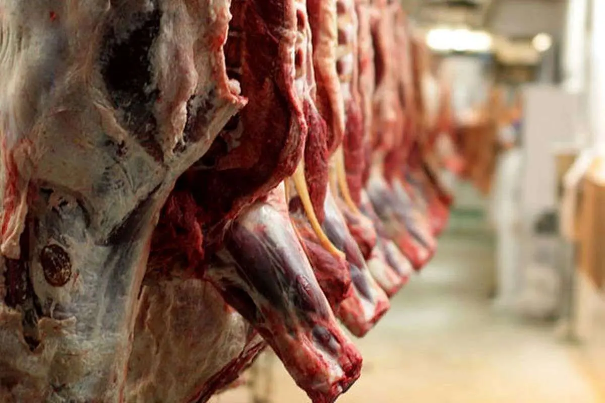 قیمت گوشت قرمز امروز ۱۲ اسفند ۱۴۰۳؛ گوشت خورشتی چند؟