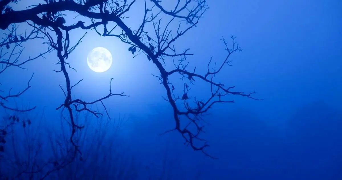 تفال به حافظ دوشنبه ۱۳ اسفند۱۴۰۳؛ اگر چه باده فرح بخش و باد گل‌بیز است...