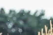 نقد و بررسی فیلم «بی سر و صدا» +حواشی