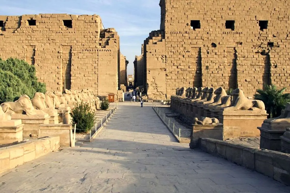 کشف گنجینۀ مجسمههای طلایی مصر باستان در یک کوزۀ شکسته