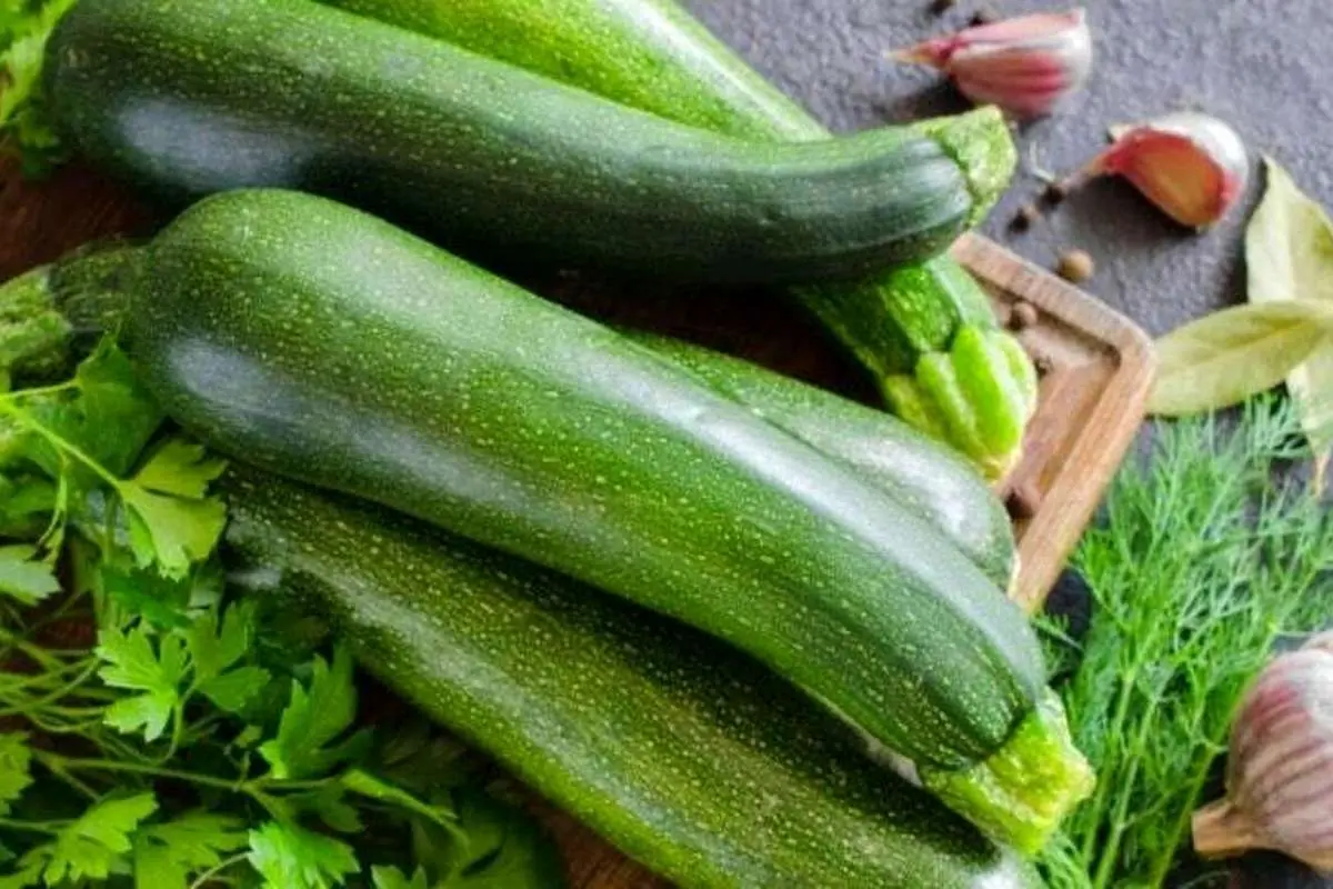 خواص کدو سبز؛ از درمان کبد چرب تا جلوگیری از افزایش وزن