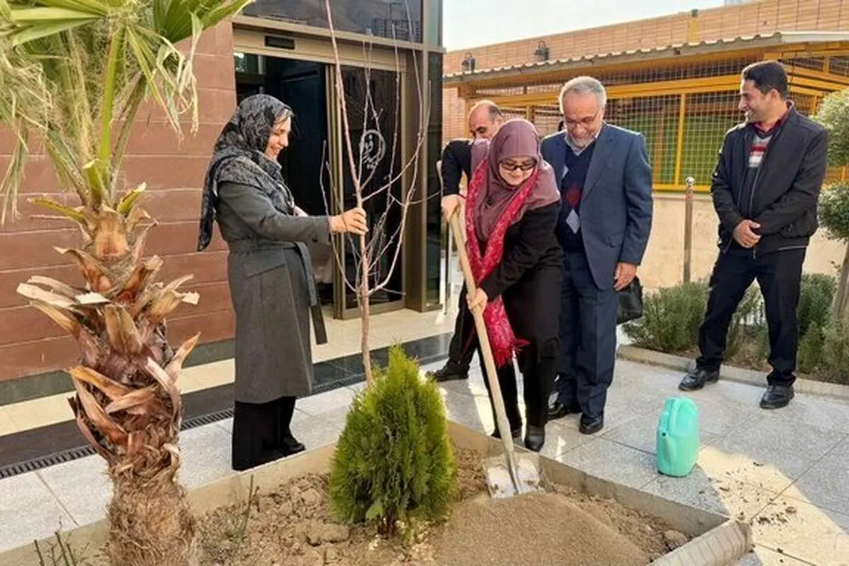 پیام سخنگوی دولت به مناسبت روز درختکاری: از اعتماد مردم بیشتر حراست کنیم