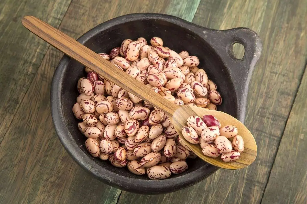 قیمت لوبیا چیتی پرواز کرد