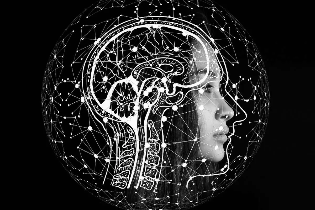 آیا می‌توان مغز را برای بهبود حافظه تمرین داد؟