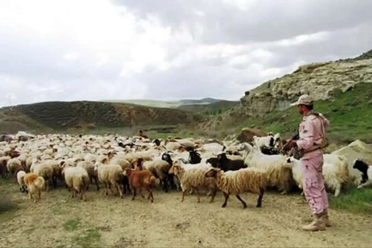 دستگیری چوپانِ قاچاقچی