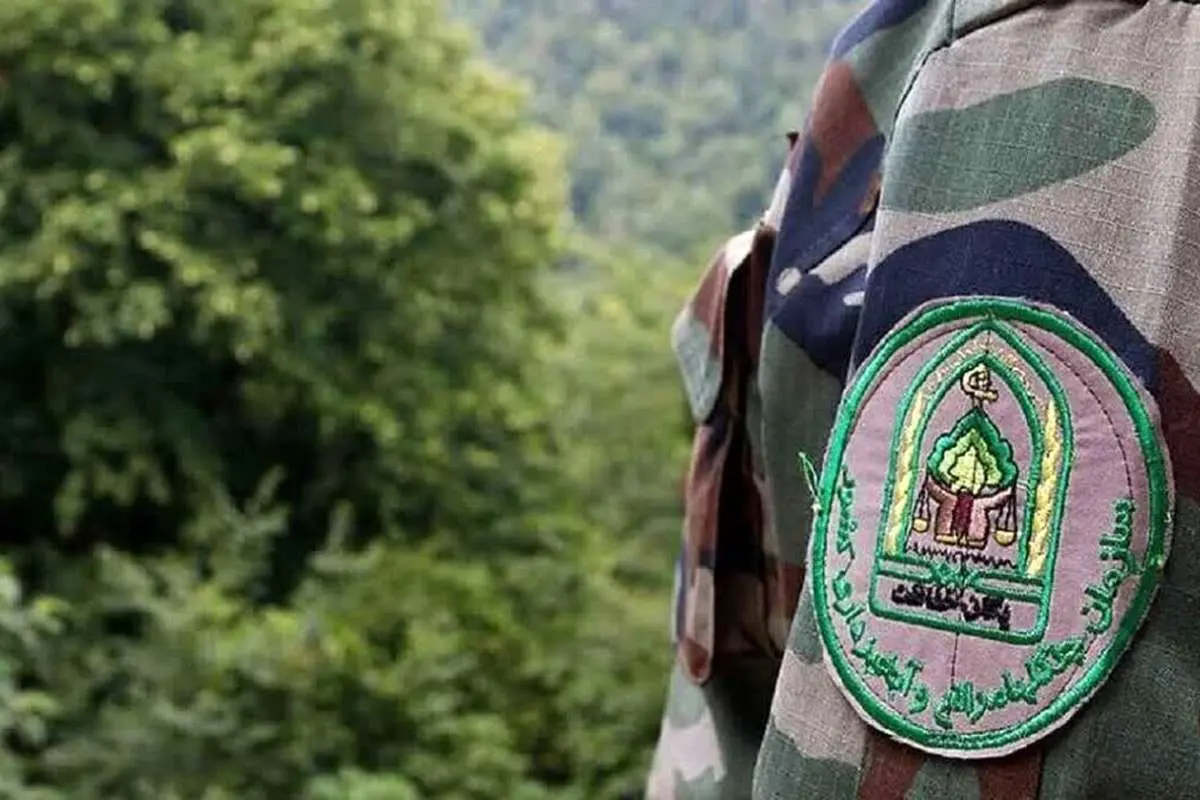 بازداشت ۴ ضارب جنگلبان نور