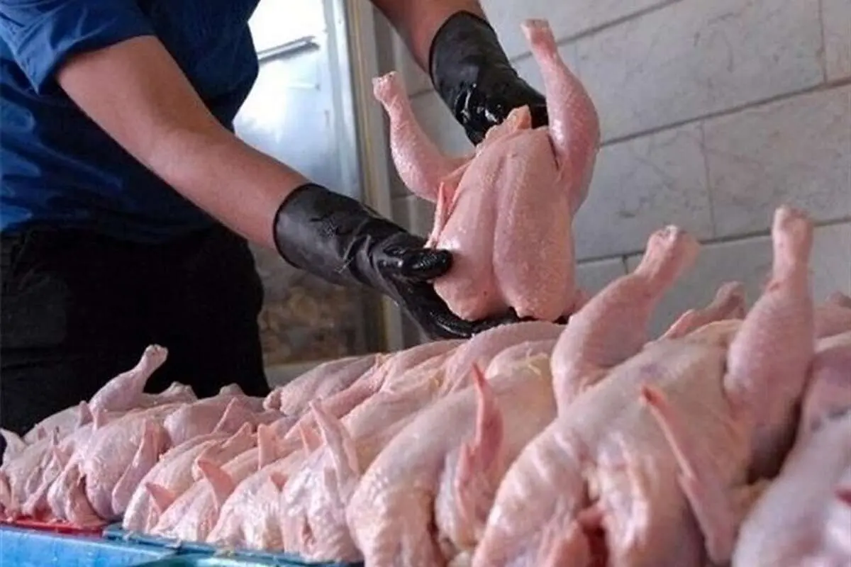 قیمت مرغ، گوشت و دام زنده امروز یکشنبه ۱۹ اسفند