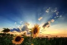 تفال به حافظ چهارشنبه ۱۵ اسفند ۱۴۰۳؛ ما آزموده‌ایم در این شهر بخت خویش.