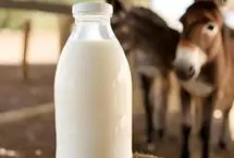 همه آنچه باید درباره خواص شیر الاغ بدانید