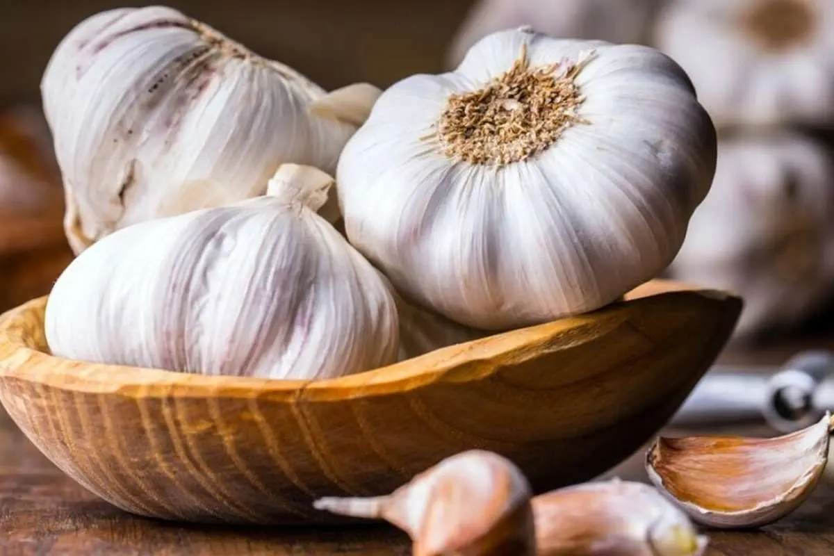 خواص بینظیر این سبزی بد بو