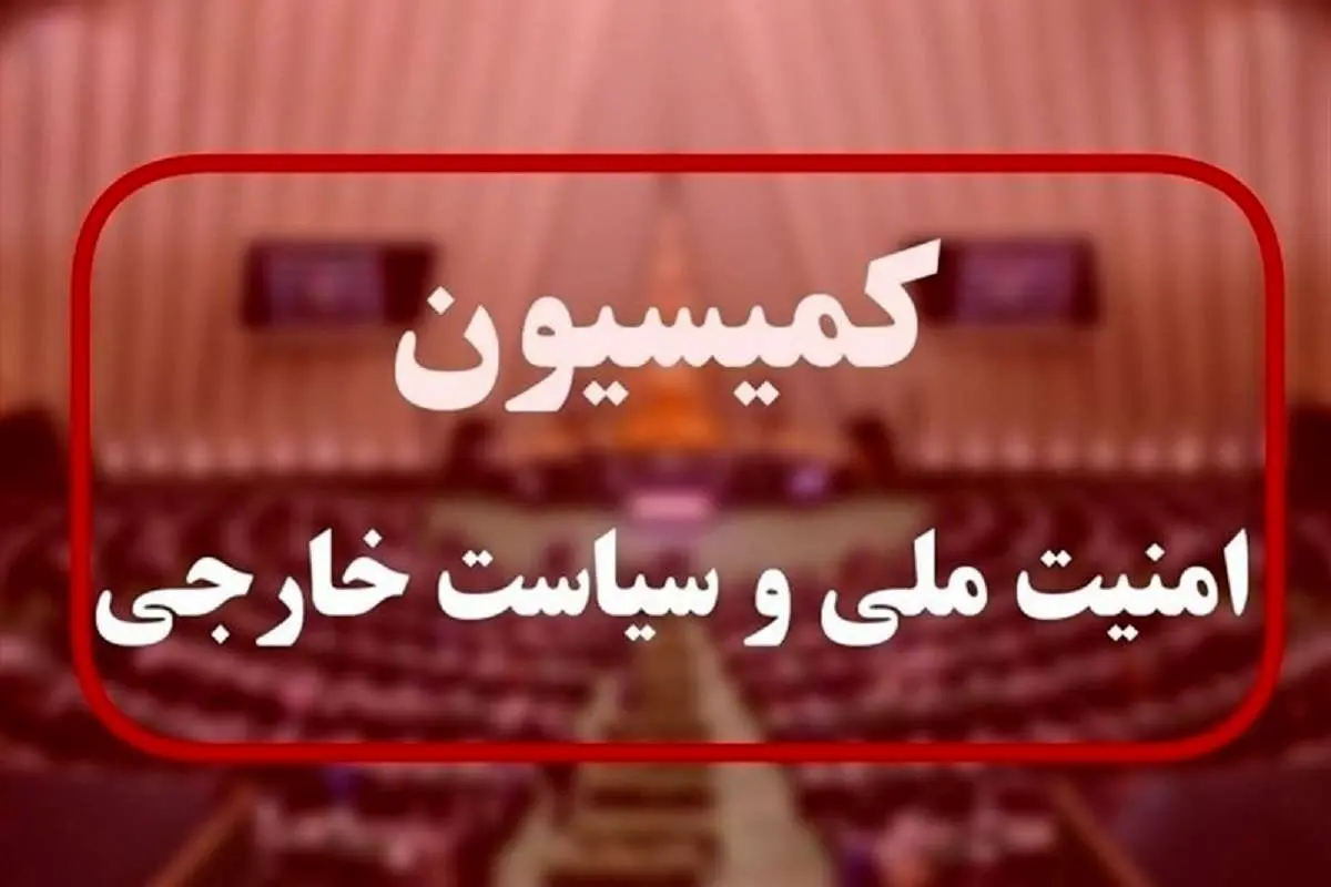 لایحه حمایت از ایرانیان خارج از کشور در کمیسیون امنیت ملی نهایی شد