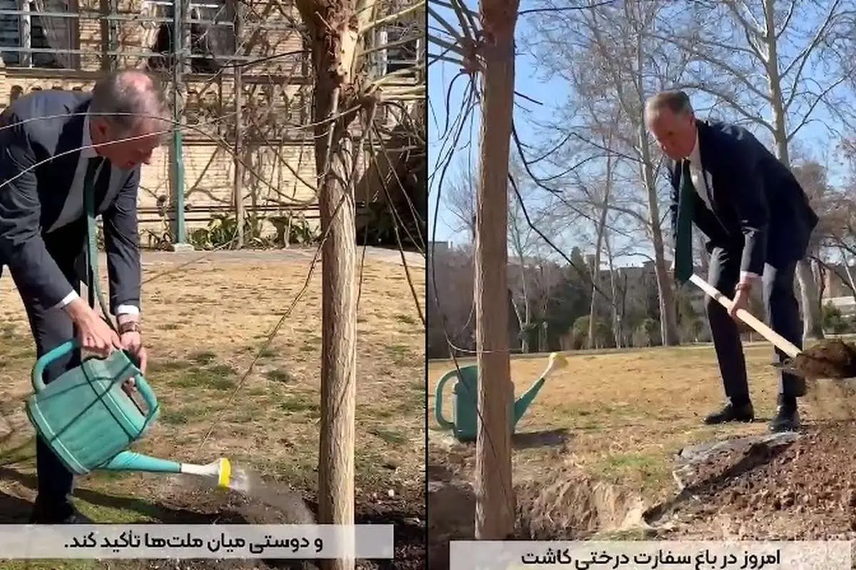 (ویدئو) درختکاری سفیر انگلیس در تهران