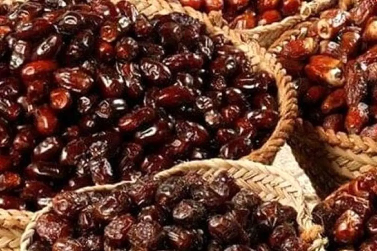 صادرات خرما ممنوع شد