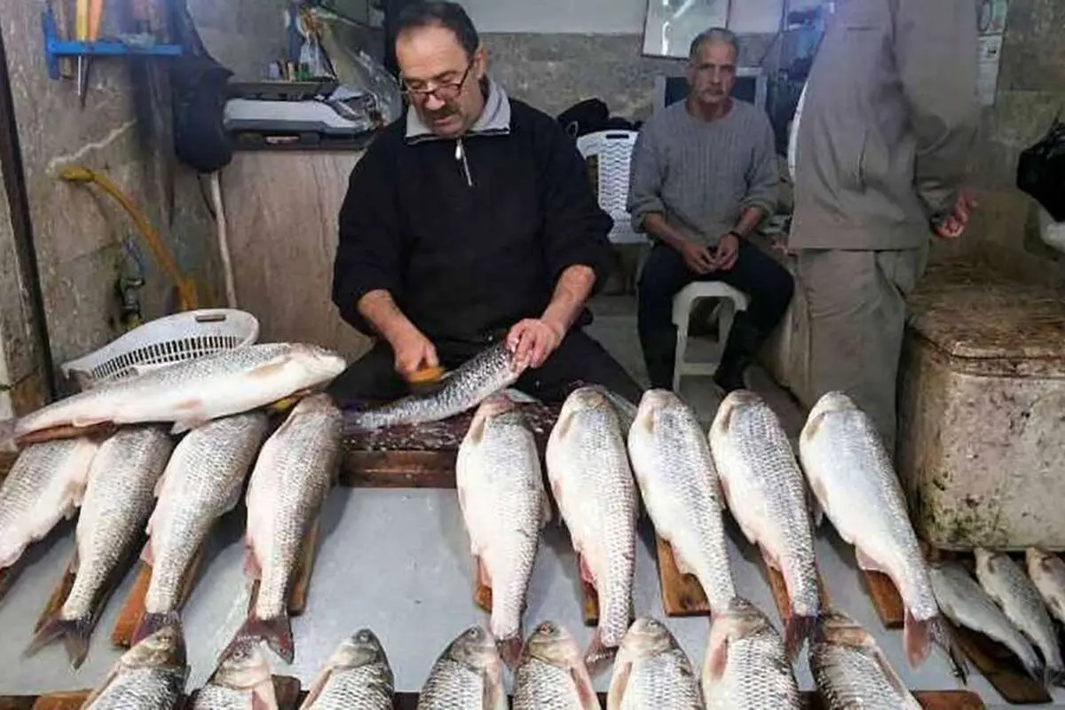 قیمت ماهی در میادین و بازارهای میوه و تره بار اعلام شد
