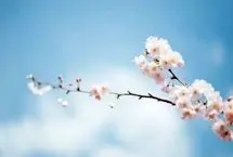 تفال به حافظ پنجشنبه ۷ فروردین ۱۴۰۴؛ گفتم‌ای سلطان خوبان رحم کن بر این غریب...
