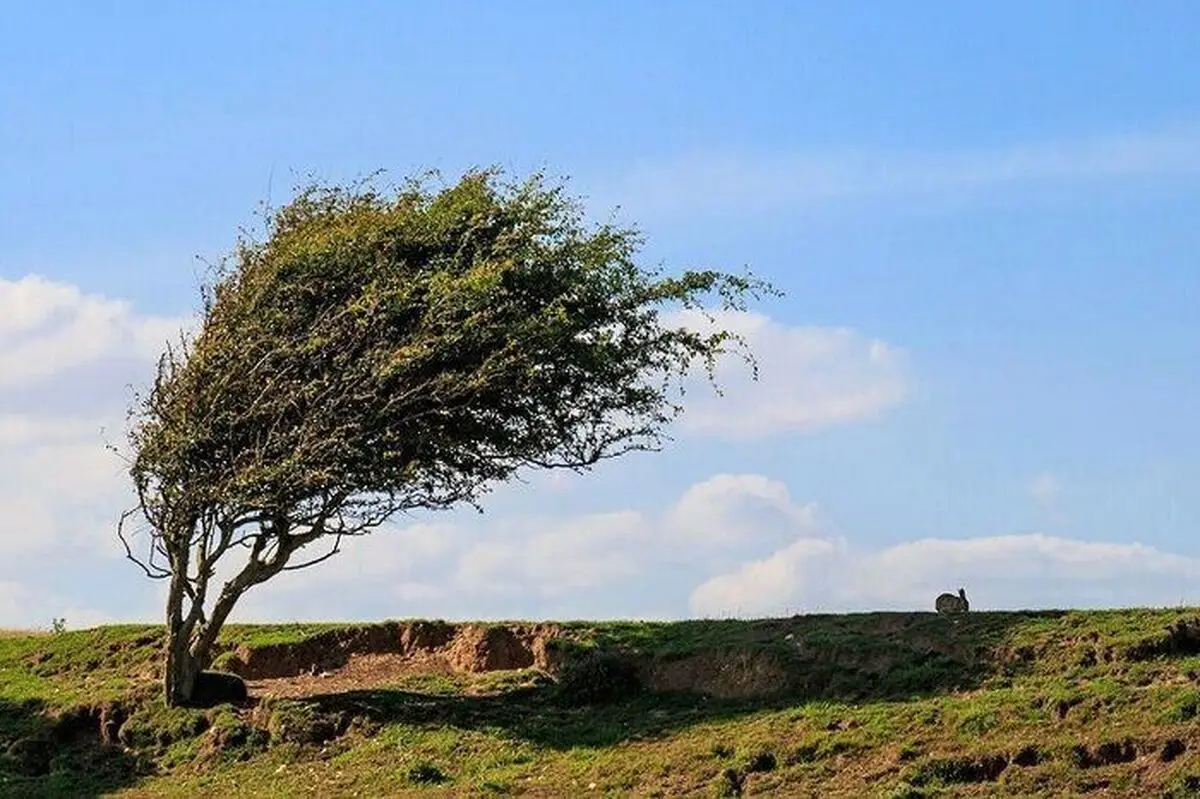 وزش باد گرم و افزایش دما در ۳ استان