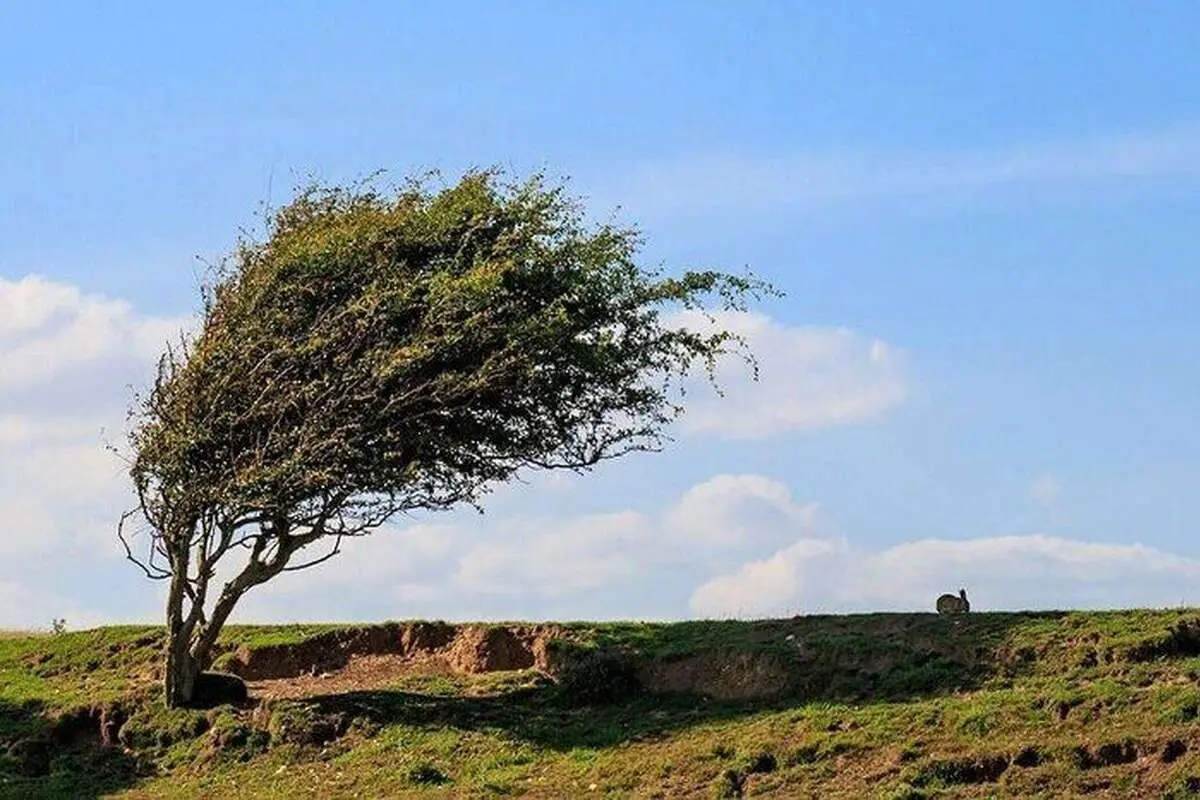 وزش باد گرم و افزایش دما در ۳ استان