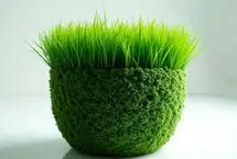 چگونه در سه روز سبزه عید خود را آماده کنیم؟