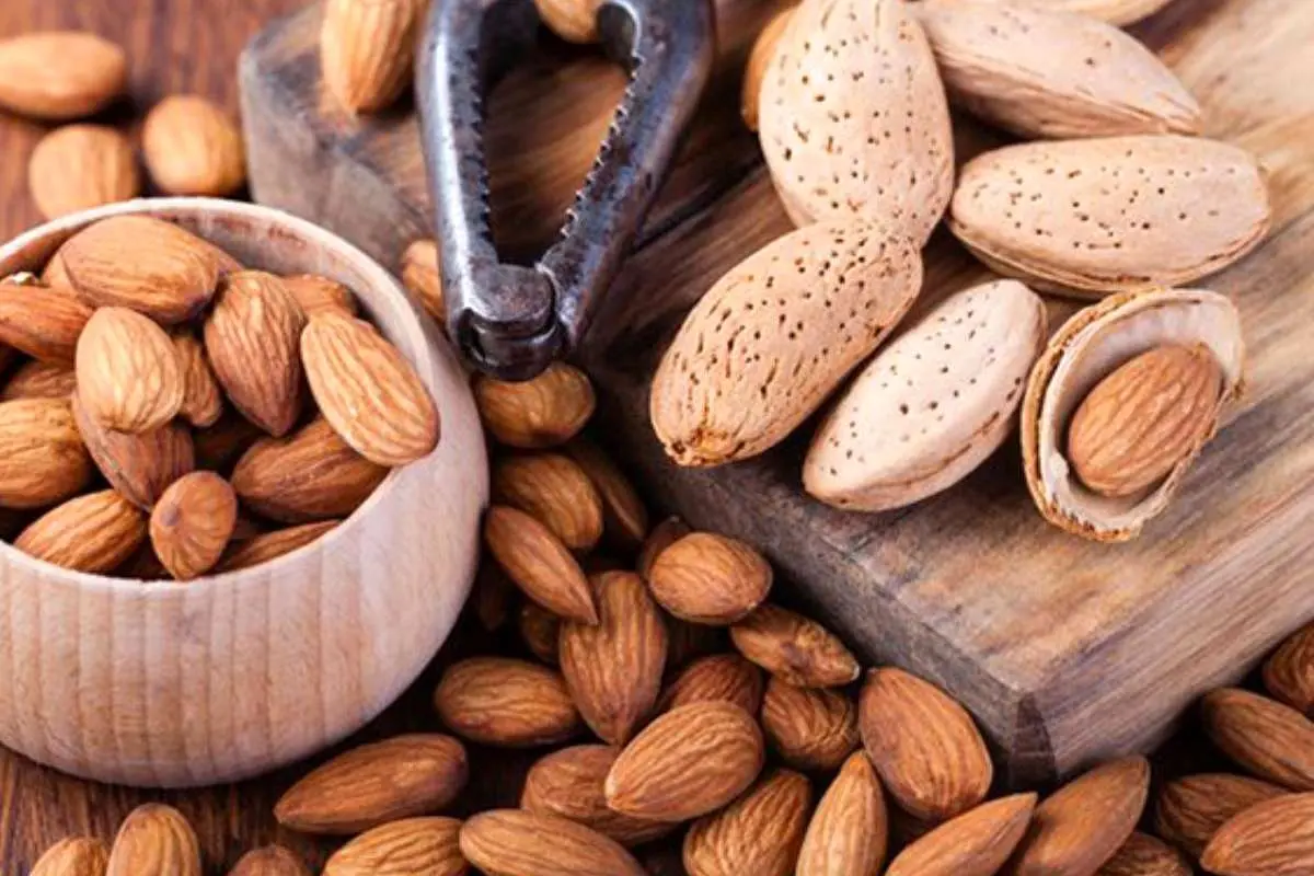 دنبال کالری‌سوزی هستید؟ این مغز آجیلی به کارتان می‌آید