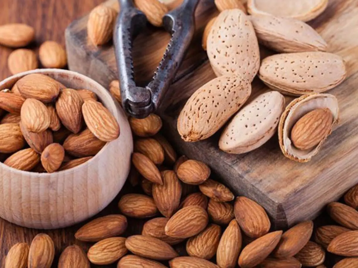 دنبال کالری‌سوزی هستید؟ این مغز آجیلی به کارتان می‌آید