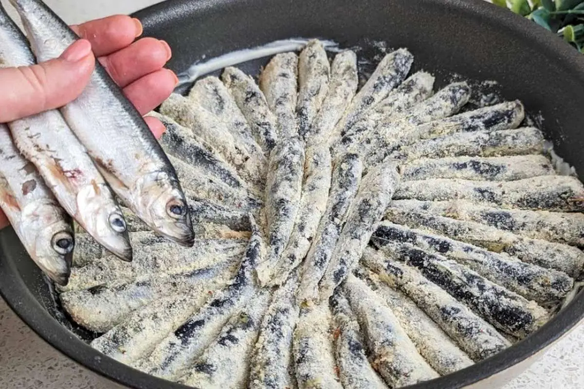 (ویدئو) طرز تهیه یک غذای خوشمزه آلمانی با ماهی کیلکا